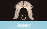 Bionator